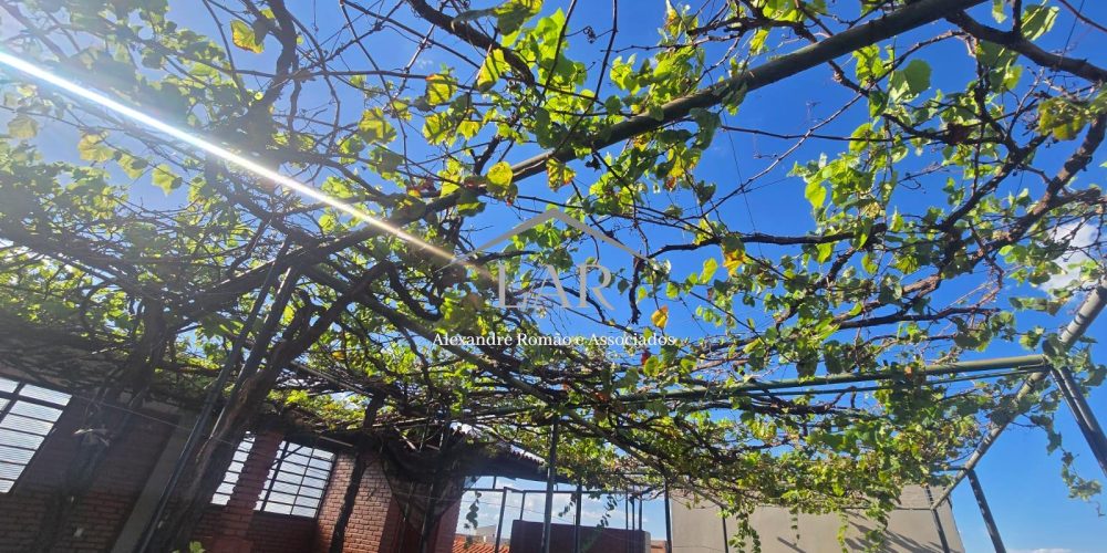 WhatsApp Image 2025-03-08 at 07.30.56 (2)