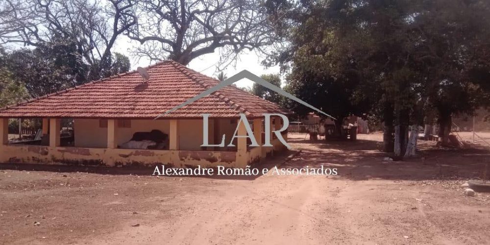 WhatsApp Image 2025-06-23 at 19.07.05