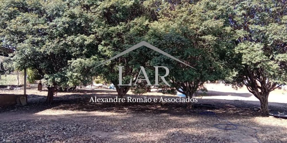 WhatsApp Image 2025-06-23 at 19.07.13 (1)