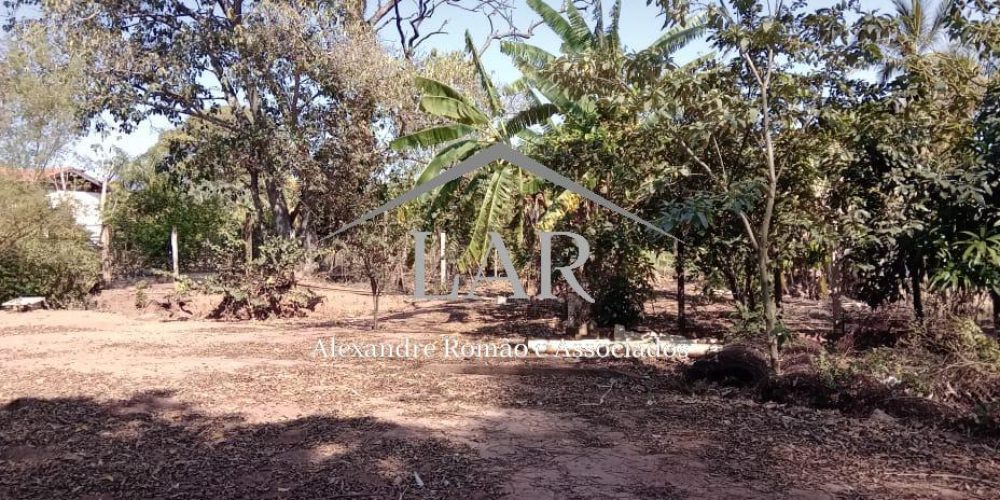 WhatsApp Image 2025-06-23 at 19.07.13