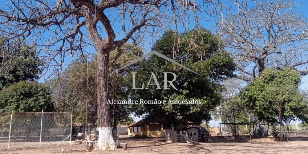 WhatsApp Image 2025-06-23 at 19.07.14