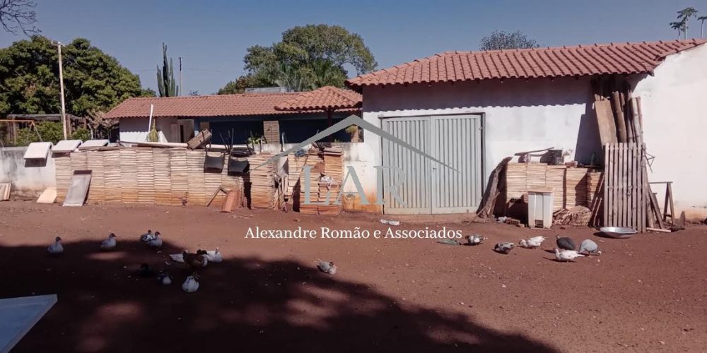 WhatsApp Image 2025-06-23 at 19.07.17 (1)