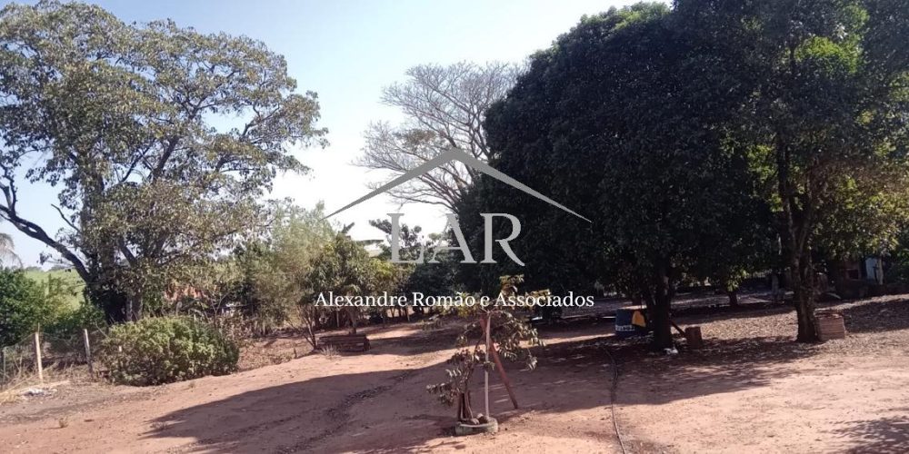 WhatsApp Image 2025-06-23 at 19.07.17