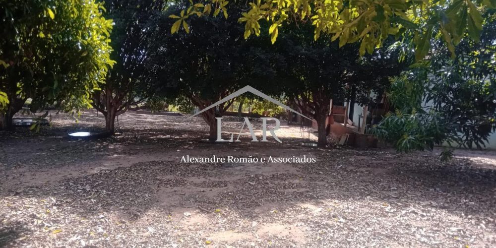 WhatsApp Image 2025-06-23 at 19.07.27 (1)